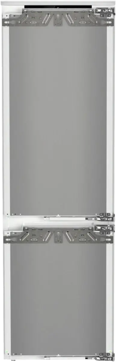 ICBNbsci 5173