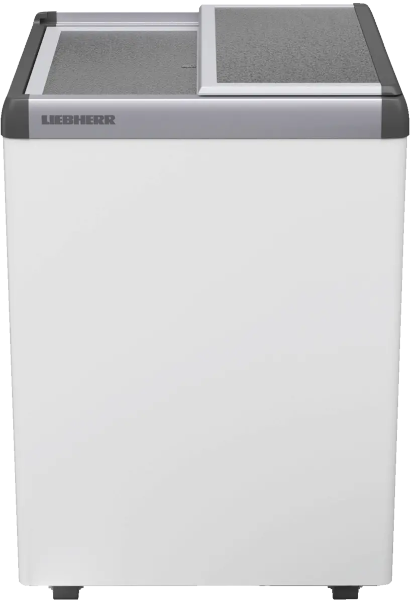 EFE 1500-21