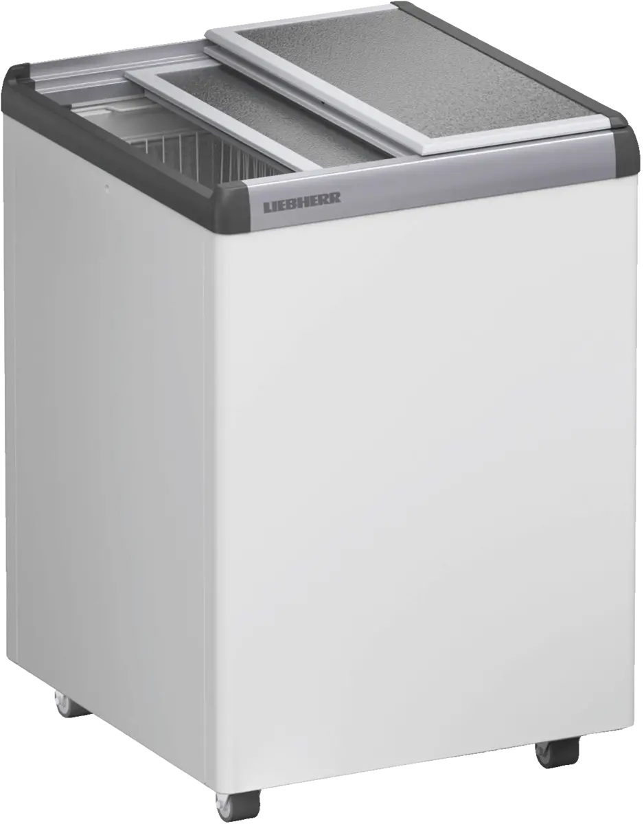 EFE 1500-21