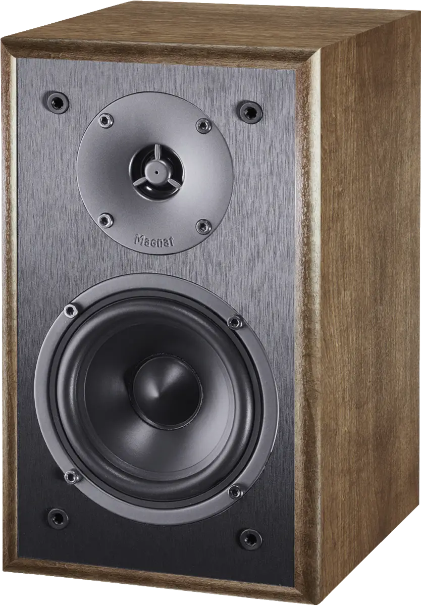 Monitor S10 B Paar