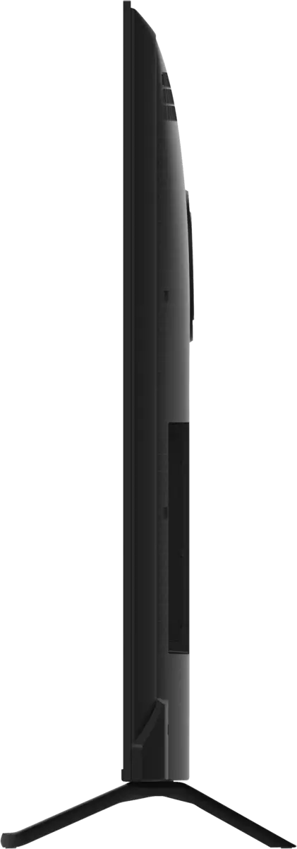 TV-55W95BEG