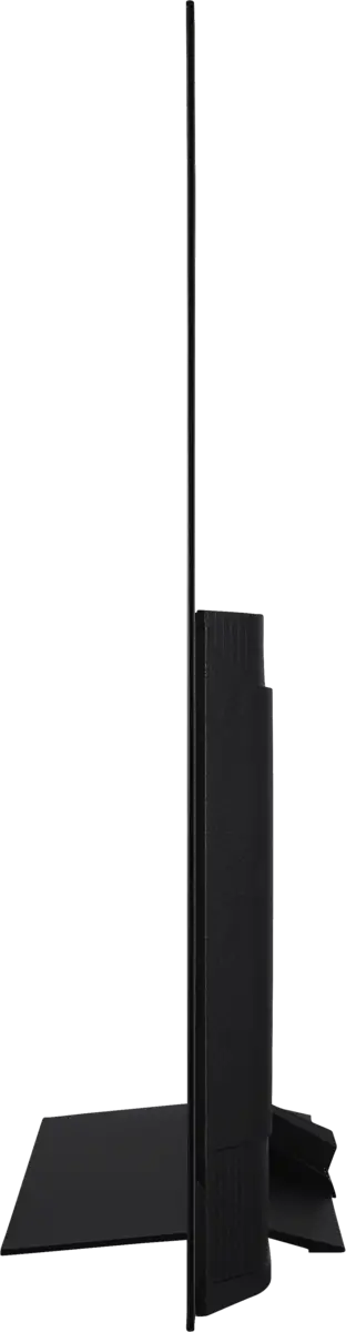TV-55Z80AEZ