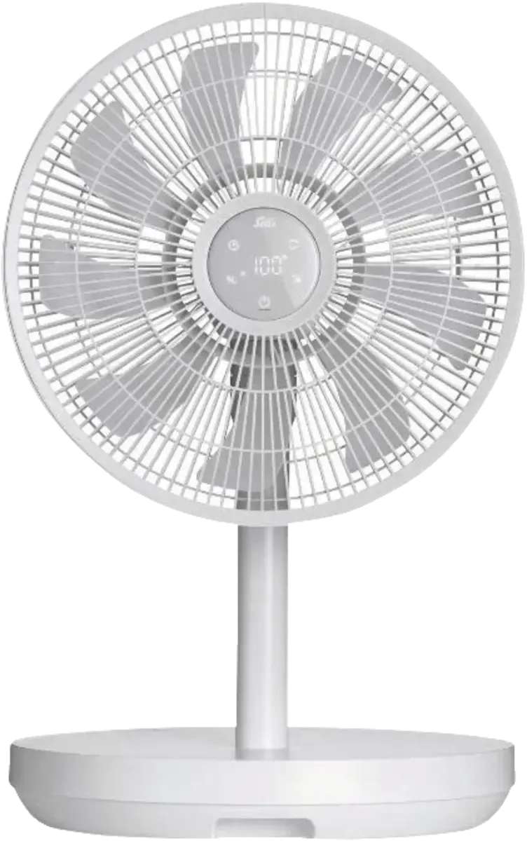 Duo Fan (97062)