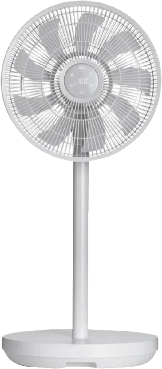 Duo Fan (97062)
