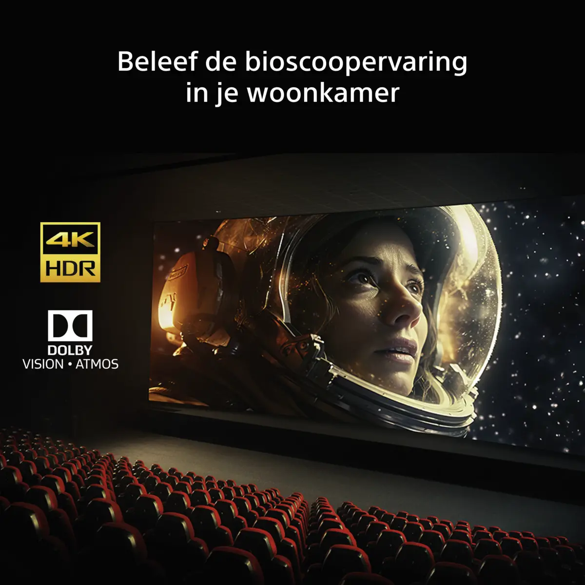 Bravia 6 K48A69PB