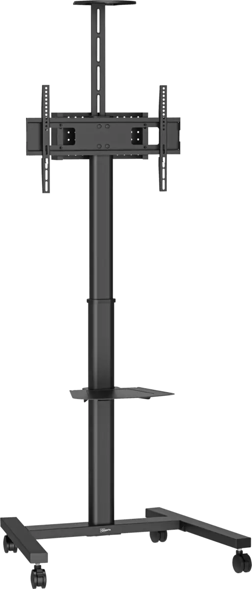 T1031