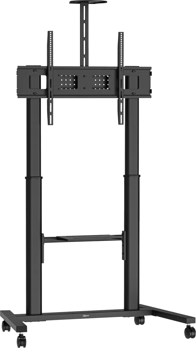 T1041