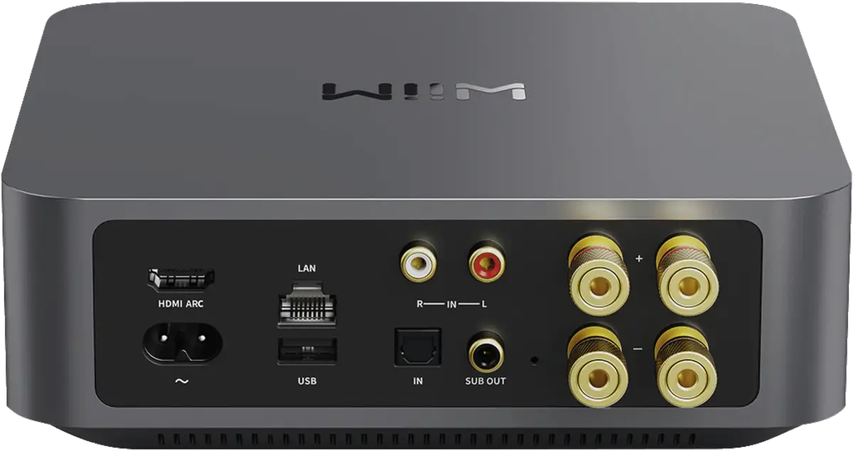 WiiM Amp