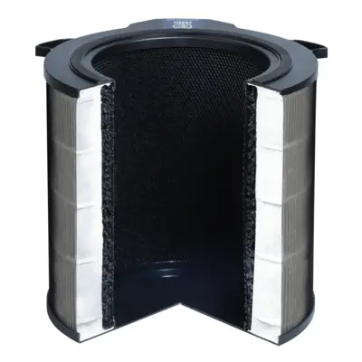AEG EFDFRH6 Filter Luchtreiniger