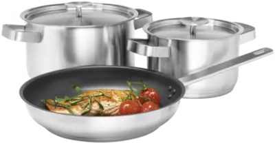 Electrolux E3SS