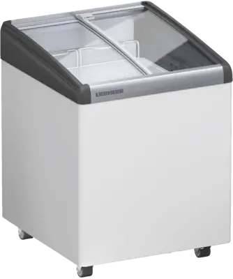 EFI 1453-21