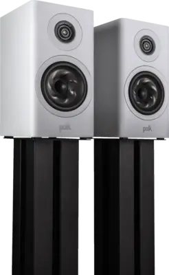 Polk R100