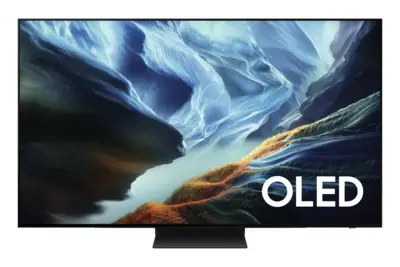 Samsung QE55S93HAEXXN