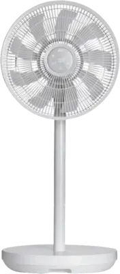 Duo Fan (97062)