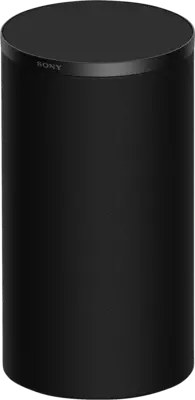 SARS9