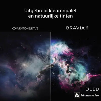 Bravia 6 K48A69PB
