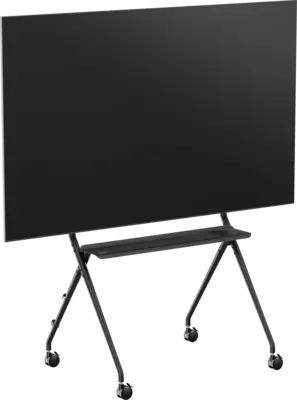 T1011
